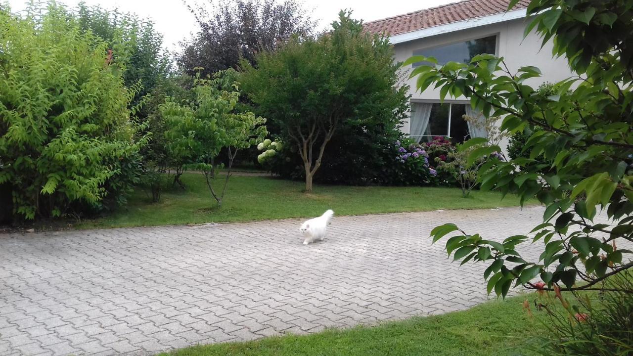 Bed and Breakfast Le Jardin De Nemo Biscarrosse Zewnętrze zdjęcie