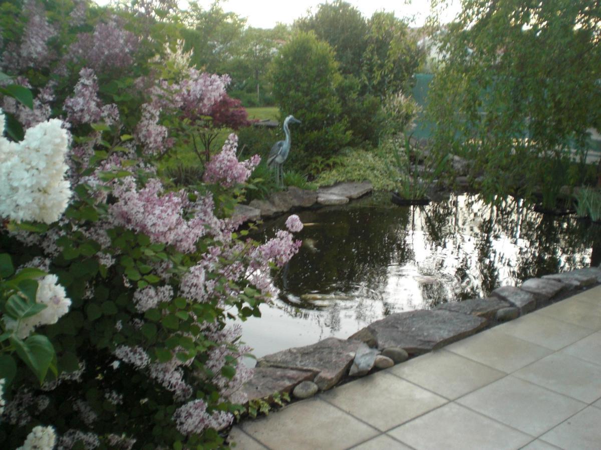 Bed and Breakfast Le Jardin De Nemo Biscarrosse Zewnętrze zdjęcie