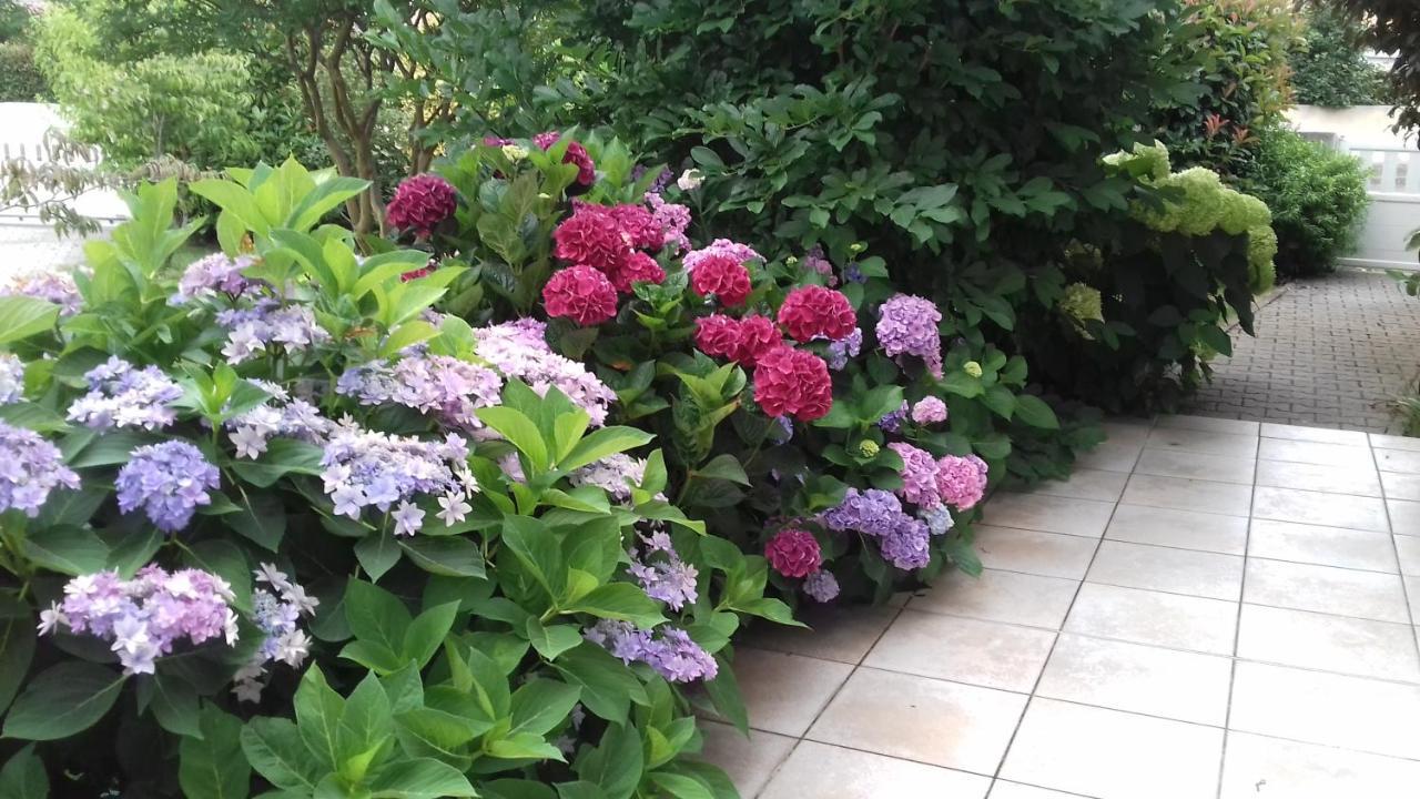 Bed and Breakfast Le Jardin De Nemo Biscarrosse Zewnętrze zdjęcie